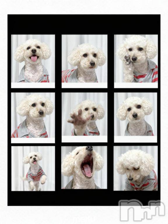 上越デリヘルHONEY(ハニー)らむ(♪♪)(22)の2025年11月11日写メブログ「おはよう‪(ᐡɞ̴̶̷  ̫ ɞ̴̶̷ᐡ)2日間だけ！」