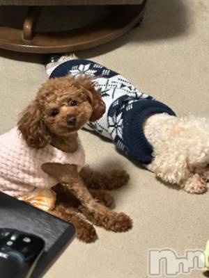 上越デリヘル HONEY(ハニー) らむ(♪♪)(22)の12月10日写メブログ「次回予約について！」