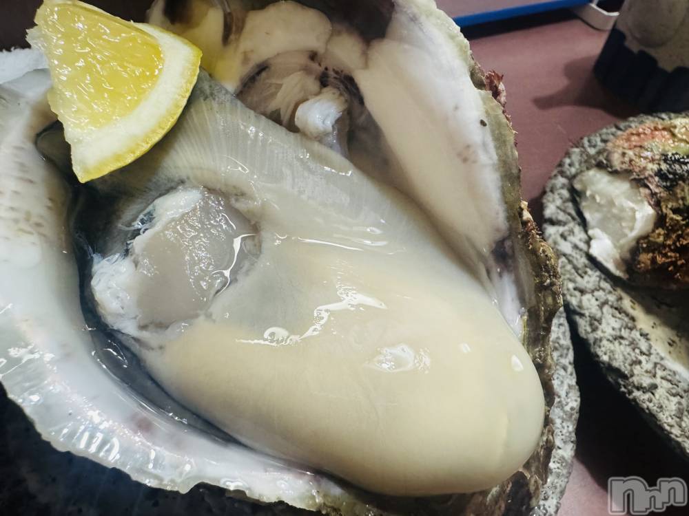 ľťʥå륺С饦㡹(饦󥸥) 礦610̥֥🦪( '-' 🦪 )ݡ