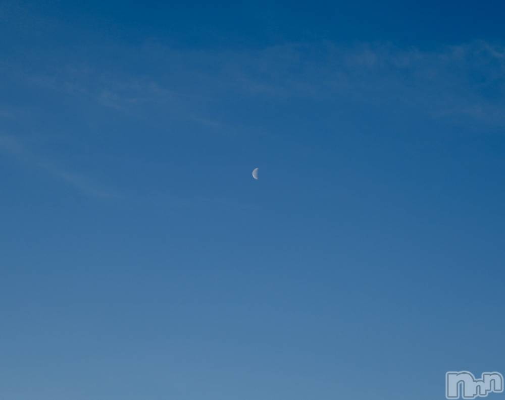 ľ���ť��ʥå��������륺�С��饦���㡹(�饦�󥸥������) ��礦��2��28���̥�֥�����ī��