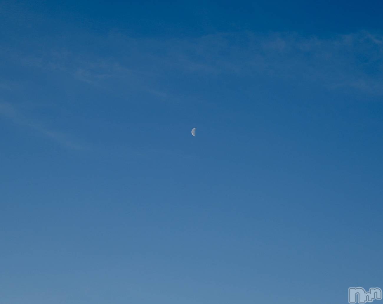 ľ���ť��ʥå��������륺�С��饦���㡹(�饦�󥸥������) ��2026ǯ2��28���̥�֥�����ī��