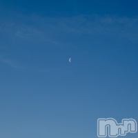 ľ���ť��ʥå��������륺�С� �饦���㡹(�饦�󥸥������) ��礦��2��28���̥�֥�����ī��