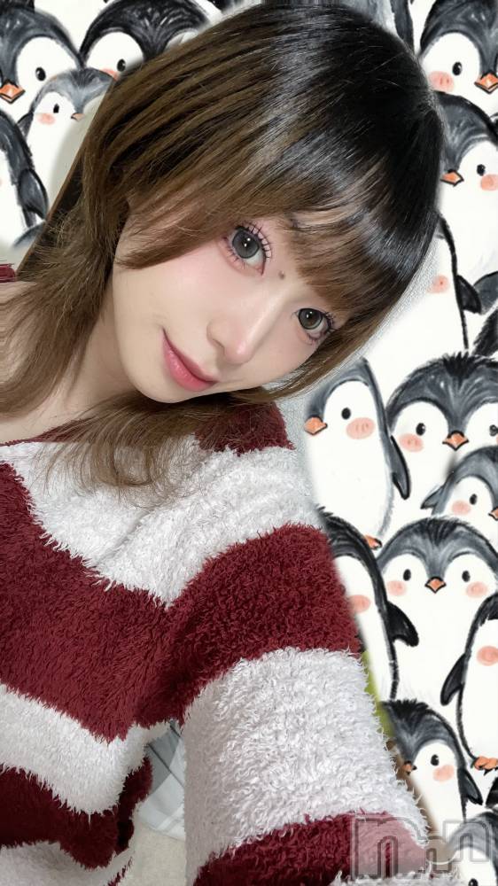 ľťʥå륺С饦㡹(饦󥸥) ꤹ521̥֥֥磻ʥʡ