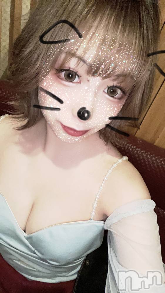 ľťʥå륺С饦㡹(饦󥸥) ꤹ227̥֥🍮