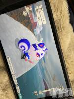 ľ���ť��ʥå��������륺�С��饦���㡹(�饦�󥸥������) ���ꤹ(27)��2��28���̥�֥����ֲˤ����