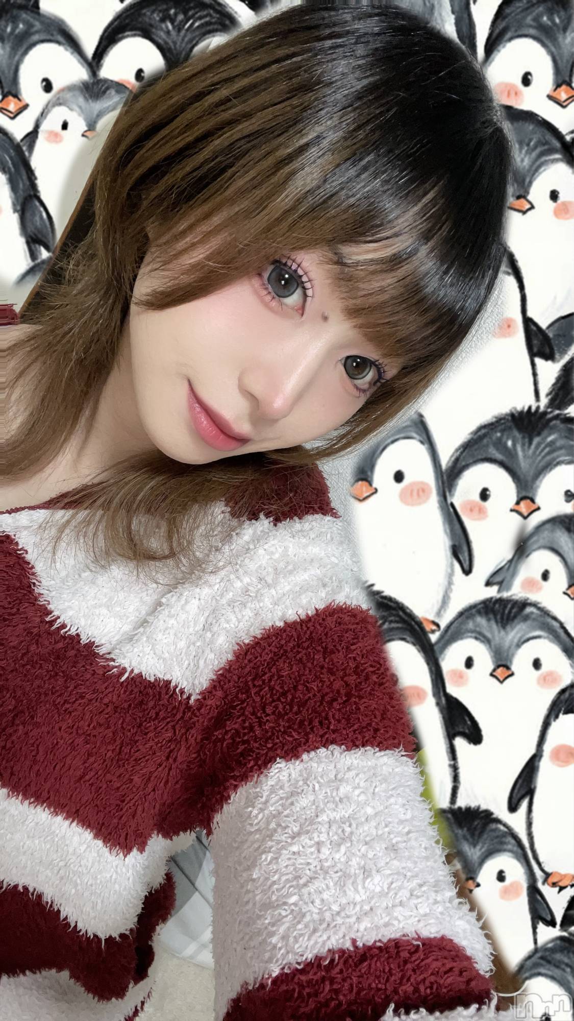 ľťʥå륺С饦㡹(饦󥸥) 2024ǯ521̥֥֥磻ʥʡ