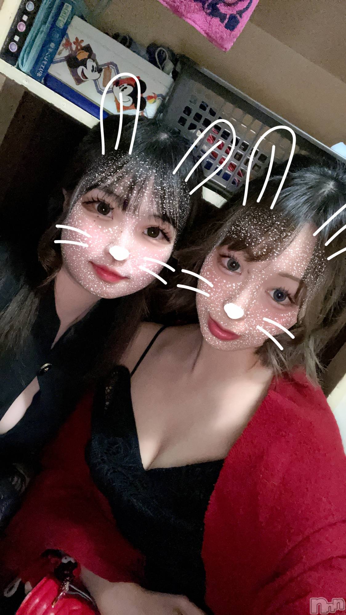 ľťʥå륺С饦㡹(饦󥸥) 2025ǯ419̥֥֤줢