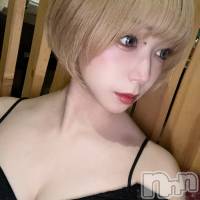 ꤹ(27) Ĺ160cmľťʥå륺С 饦㡹(饦󥸥)ҡ