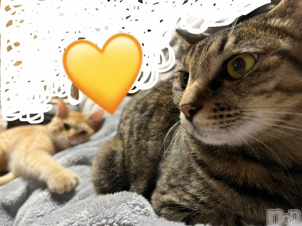 ľťʥå륺С饦㡹(饦󥸥) Ϥʤ1023̥֥֤ˤ🫶