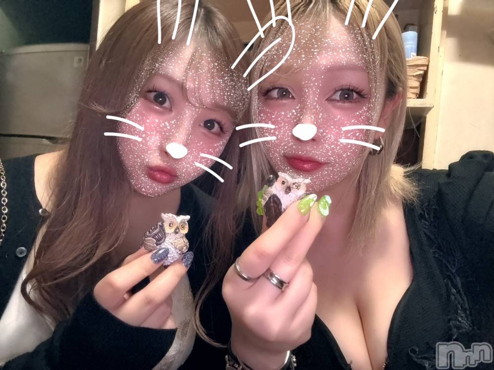 ľťʥå륺С饦㡹(饦󥸥) 礦511̥֥🦉Ϥʤ餷
