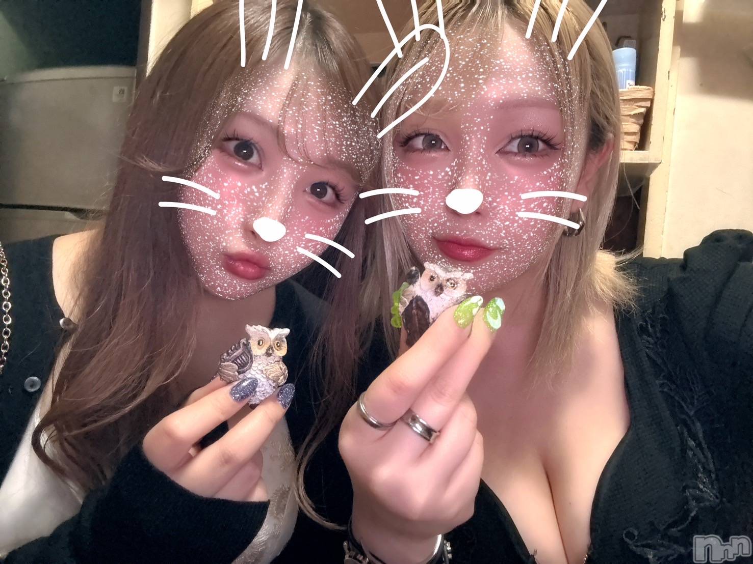 ľťʥå륺С饦㡹(饦󥸥) 2025ǯ511̥֥🦉Ϥʤ餷