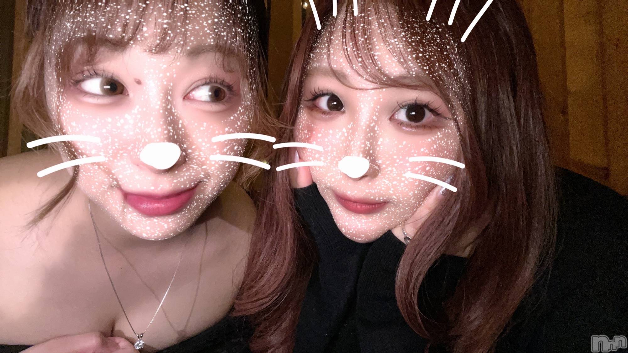 ľťʥå륺С饦㡹(饦󥸥) 2025ǯ719̥֥ˤ⡪