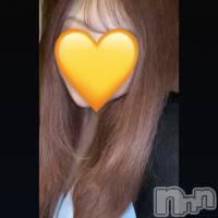 Ϥ(ҥߥ) Ĺ153cmľťʥå륺С 饦㡹(饦󥸥)ҡ