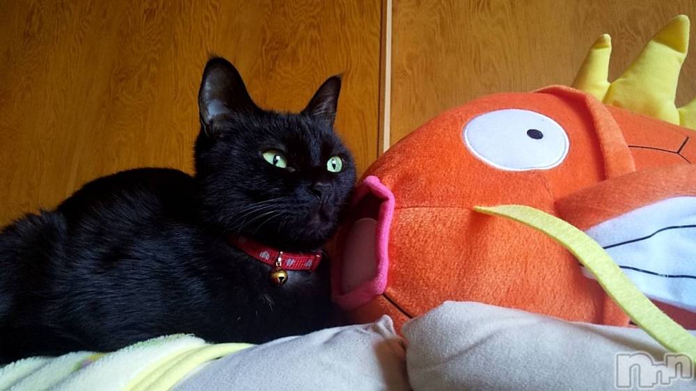 Ʋʥå륺С@ΤΤȤǤ(ΥΥȥǥ) Ϥʤ314̥֥🐱
