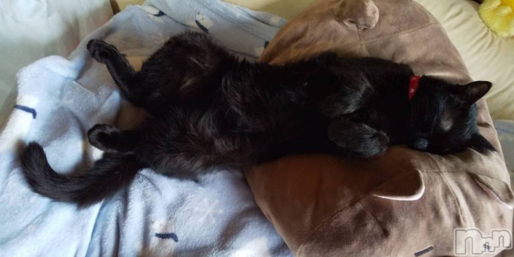 Ʋʥå륺С@ΤΤȤǤ(ΥΥȥǥ) Ϥʤ328̥֥🐱