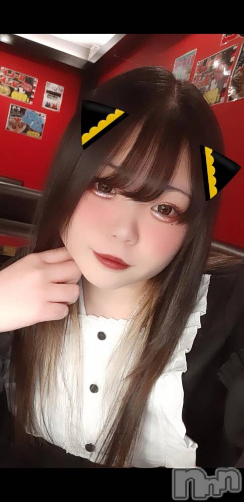 Ʋʥå륺С@ΤΤȤǤ(ΥΥȥǥ) Ϥʤ37̥֥֤פ󡪡