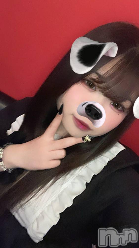 Ʋʥå륺С@ΤΤȤǤ(ΥΥȥǥ) Ϥʤ518̥֥🎂