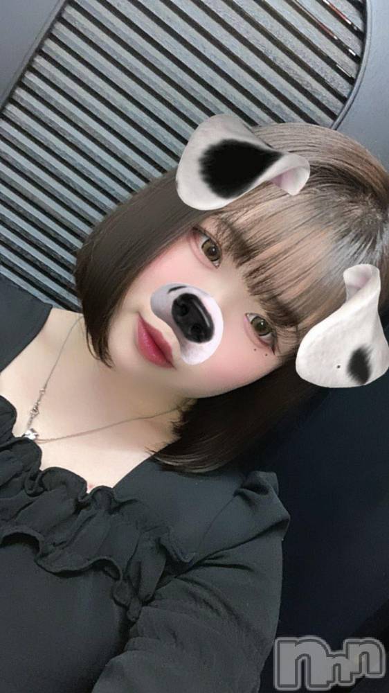 Ʋʥå륺С@ΤΤȤǤ(ΥΥȥǥ) Ϥʤ65̥֥✂