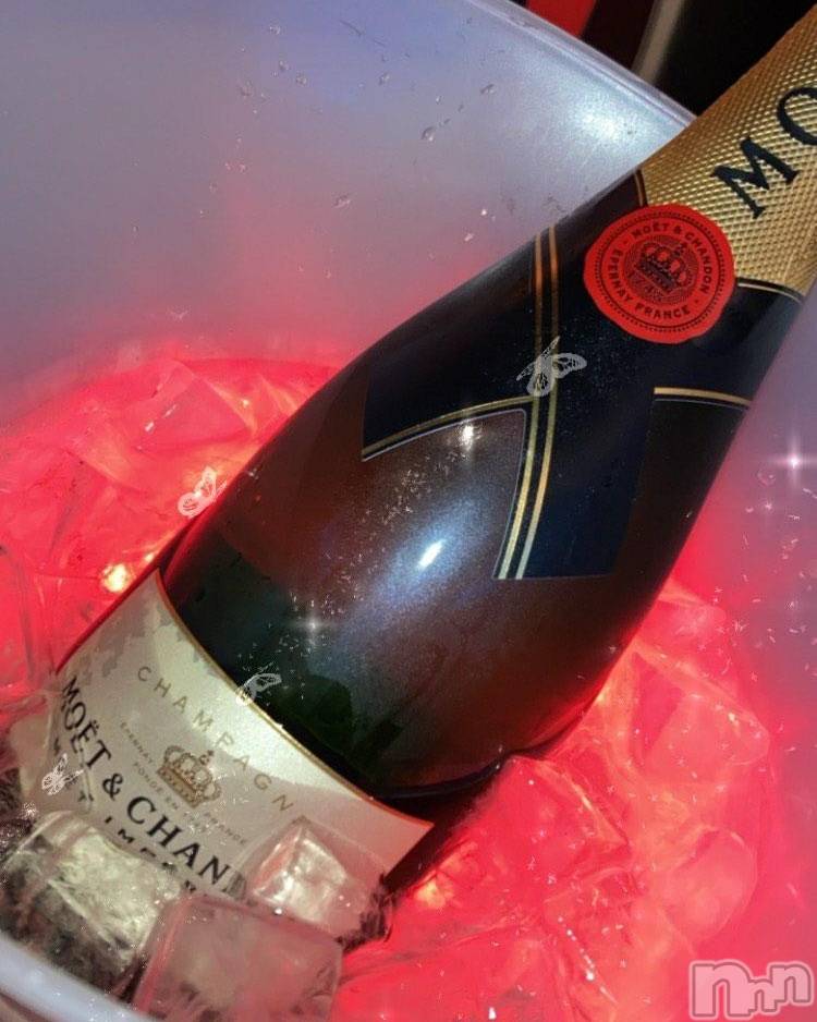 Ʋʥå륺С@ΤΤȤǤ(ΥΥȥǥ) Ϥʤ615̥֥֤Ϥ䤹
