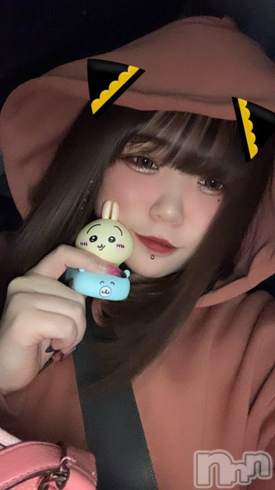 Ʋʥå륺С@ΤΤȤǤ(ΥΥȥǥ) Ϥʤ1111̥֥֥ҥåϡ🐰