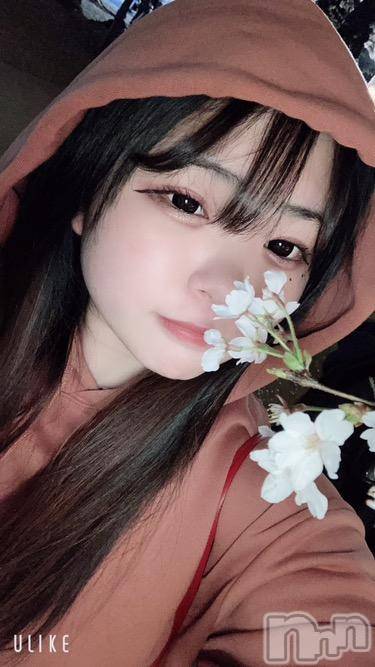 Ʋʥå륺С@ΤΤȤǤ(ΥΥȥǥ) Ϥʤ418ֽ̥֥դǤʤ🌸