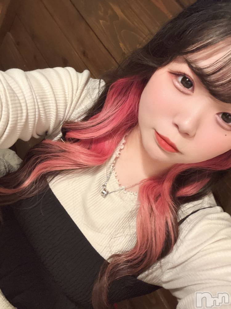 Ʋʥå륺С@ΤΤȤǤ(ΥΥȥǥ) Ϥʤ1115ִ̥֥ʤ