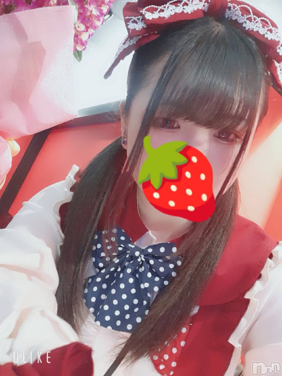 Ʋʥå륺С@ΤΤȤǤ(ΥΥȥǥ) 2022ǯ329̥֥֤ä🥀