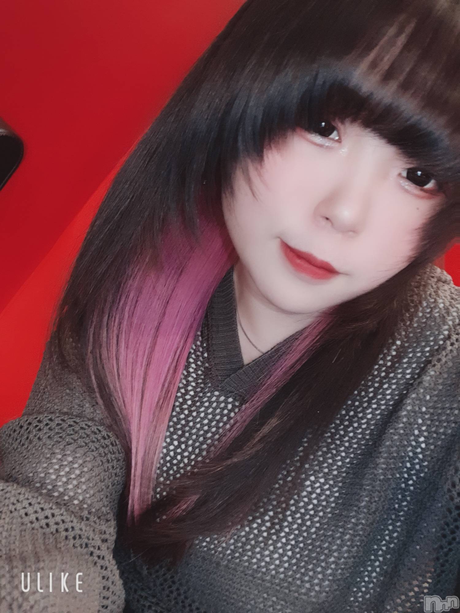 Ʋʥå륺С@ΤΤȤǤ(ΥΥȥǥ) 2022ǯ720̥֥֤ޤˤϡ