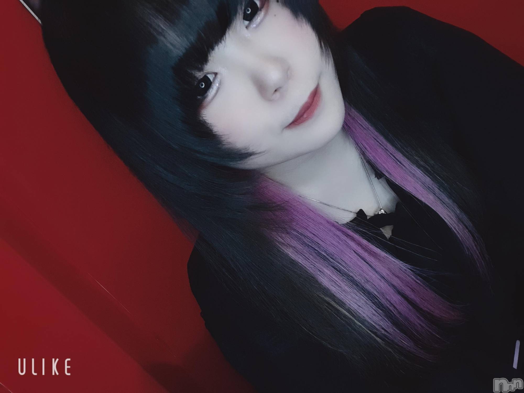 Ʋʥå륺С@ΤΤȤǤ(ΥΥȥǥ) 2022ǯ721̥֥֤ϤʤǤ🌸