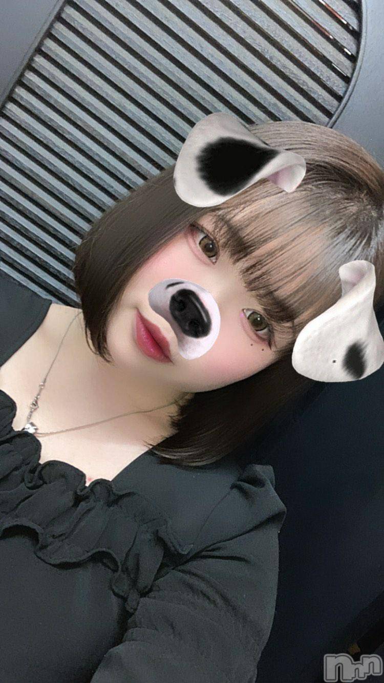 Ʋʥå륺С@ΤΤȤǤ(ΥΥȥǥ) 2023ǯ65̥֥✂