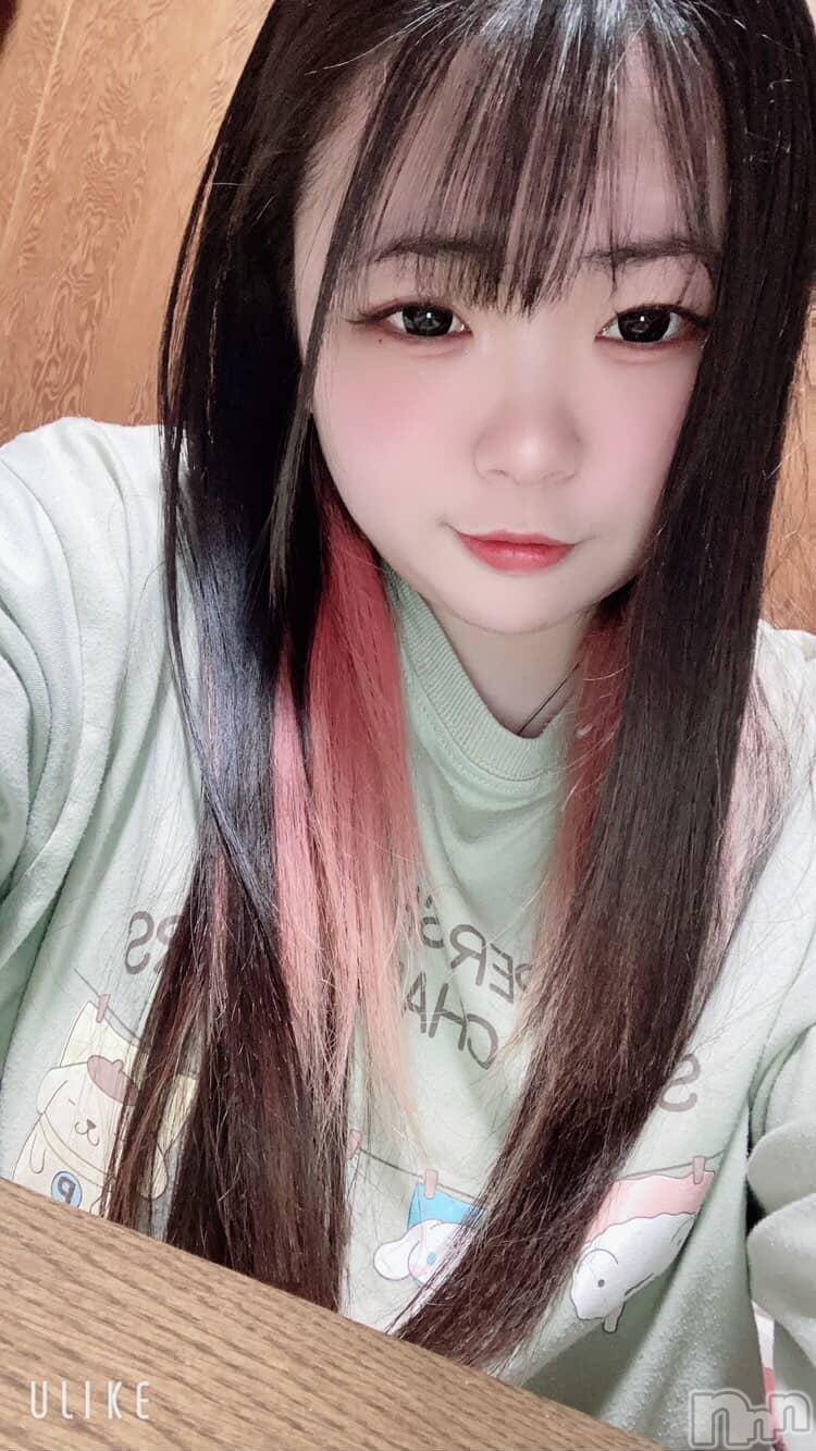 ��Ʋ���ʥå��������륺�С�@�������Τ������ΤȤ�Ǥ�(�������Υ������Υȥ�ǥ�) ��2026ǯ4��6���̥�֥����ֲ�ʴ���臘�����