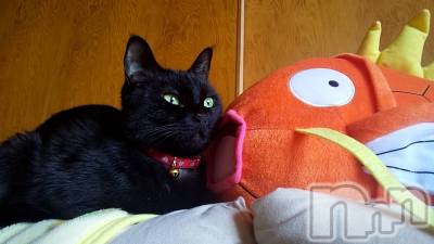 Ʋʥå륺С@ΤΤȤǤ(ΥΥȥǥ) Ϥʤ314̥֥🐱
