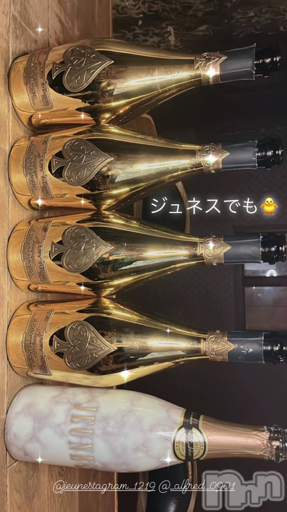 ʥå륺СJEUNESSE(ͥ) Sara66̥֥֤Ԥ