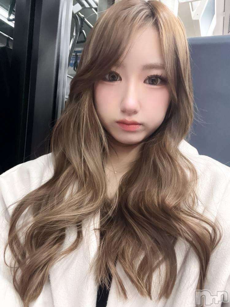 ʥå륺СJEUNESSE(ͥ) Sara227̥֥֤😕