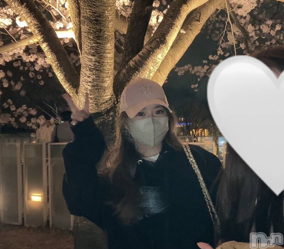 ʥå륺СJEUNESSE(ͥ) Sara413̥֥֤ݤäݾƤ