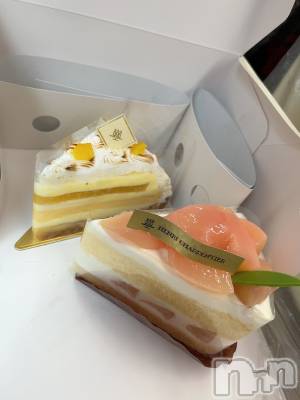 ʥå륺СJEUNESSE(ͥ) Sara613̥֥֥Υ❕