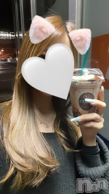 ʥå륺СJEUNESSE(ͥ) Sara48̥֥֤