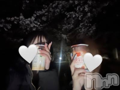 ʥå륺СJEUNESSE(ͥ) Sara414̥֥֥2