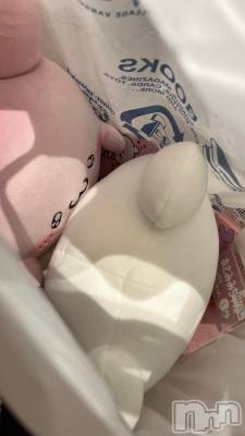 ʥå륺СJEUNESSE(ͥ) Sara920̥֥💓