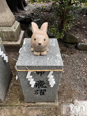 ����������ʥå��������륺�С�JEUNESSE(����ͥ�) Sara��4��13���̥�֥����������