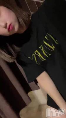 ʸ˥ϥޤäƤ🧸