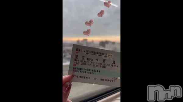 鿷Ǥ
