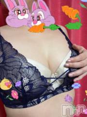 長岡人妻デリヘルBIANCA～主人の知らない私～長岡店(ビアンカナガオカテン) 藤森　さえ(35)の12月24日写メブログ「ありがとうございました～･:*+.(( °ω° ))/.:+」