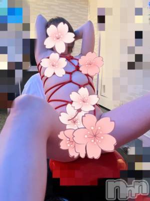 長岡デリヘル BIANCA～主人の知らない私～長岡店(ビアンカナガオカテン) 藤森　さえ(35)の4月11日写メブログ「ありがとうございましたーぁ☆」