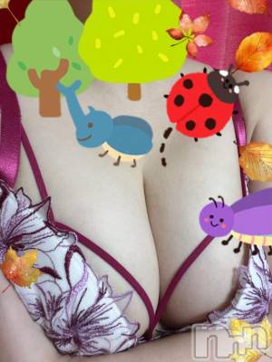 長岡デリヘル BIANCA～主人の知らない私～長岡店(ビアンカナガオカテン) 藤森　さえ(35)の9月22日写メブログ「こんにちは～(●´ω｀●)」