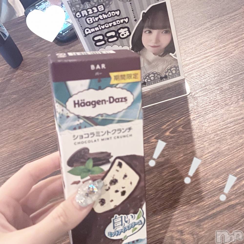 ʥå륺СVeronica-˥-(˥) 712̥֥֤Ρ