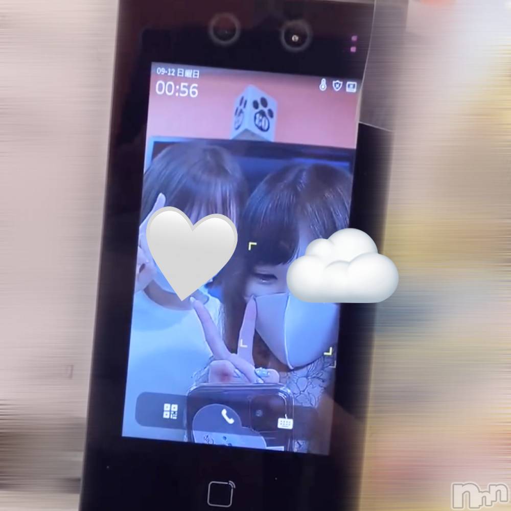 ʥå륺СVeronica-˥-(˥) ʤʤ912̥֥Ѥʤ