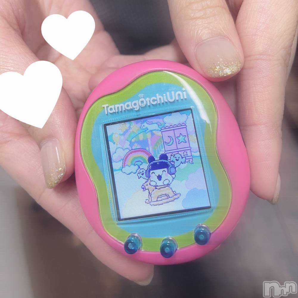 ʥå륺СVeronica-˥-(˥) 914̥֥ΤäƤ롩