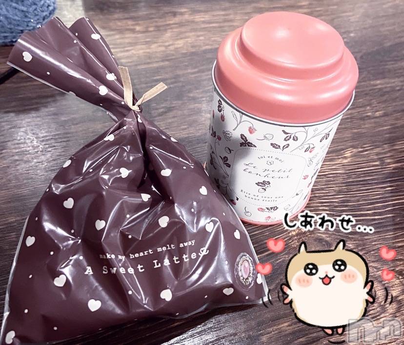 ʥå륺СVeronica-˥-(˥) ʤʤ215̥֥❕
