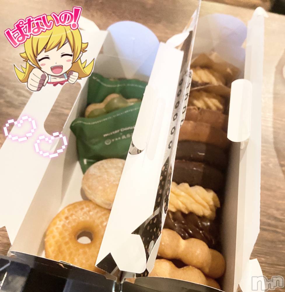 ʥå륺СVeronica-˥-(˥) ʤʤ510̥֥֤꤬